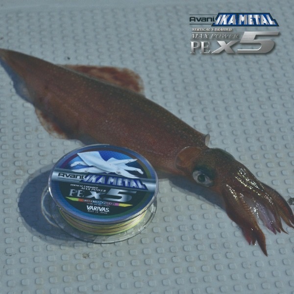 ｱﾊﾞﾆ ｲｶﾒﾀﾙﾏｯｸｽﾊﾟﾜｰPE X5 ﾏｰｷﾝｸﾞ 200m